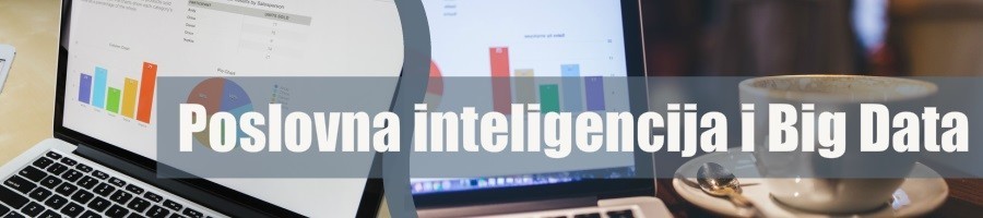 Poslovna inteligencija i Big Data